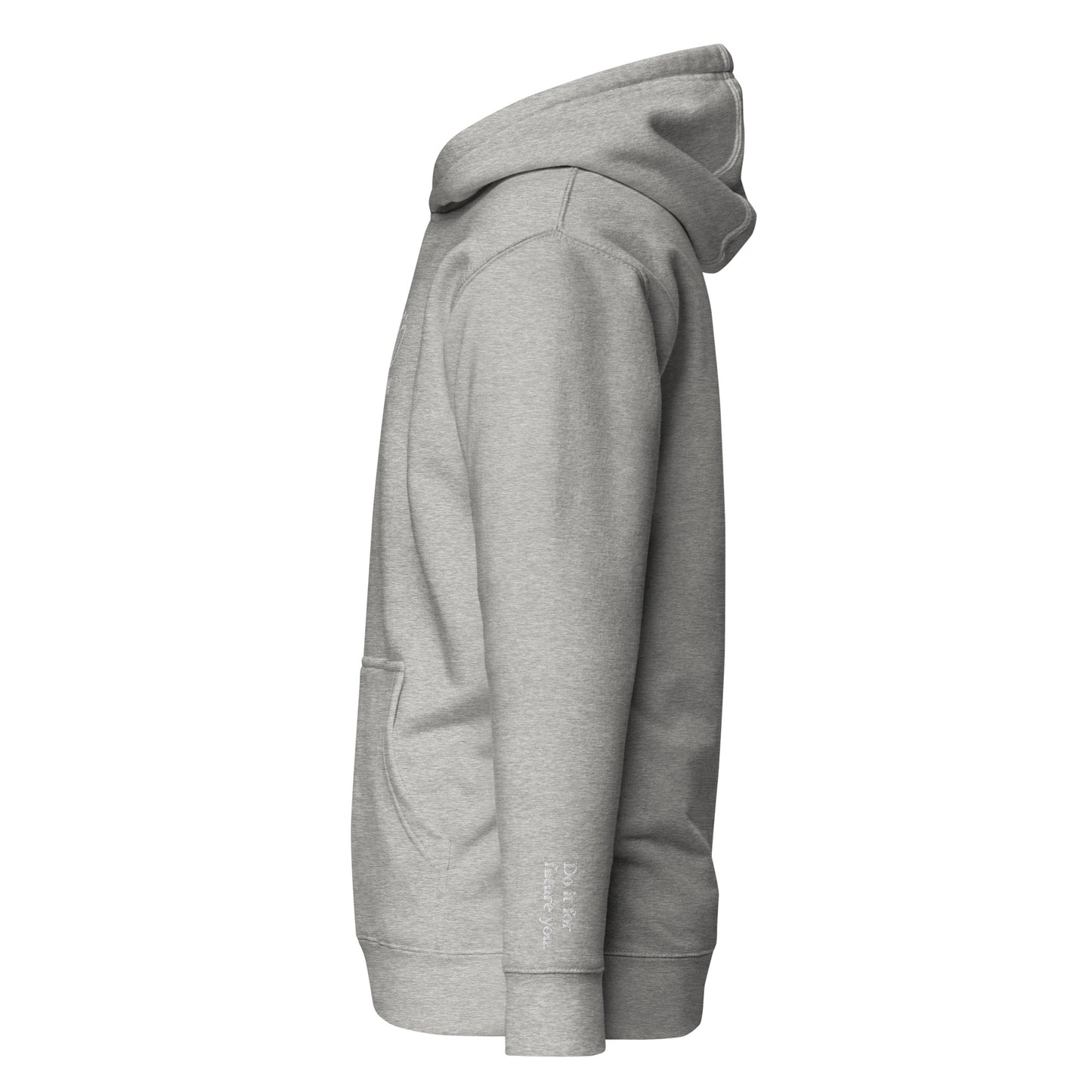 Analyzing image unisex-premium-hoodie-carbon-grey-left